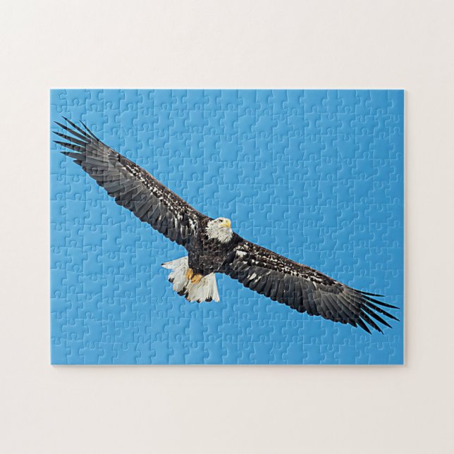 Bald-Adler (Horizontal)