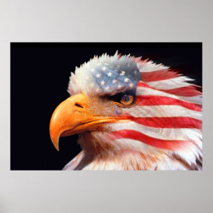 Bald Adler 4. Juli Poster 13