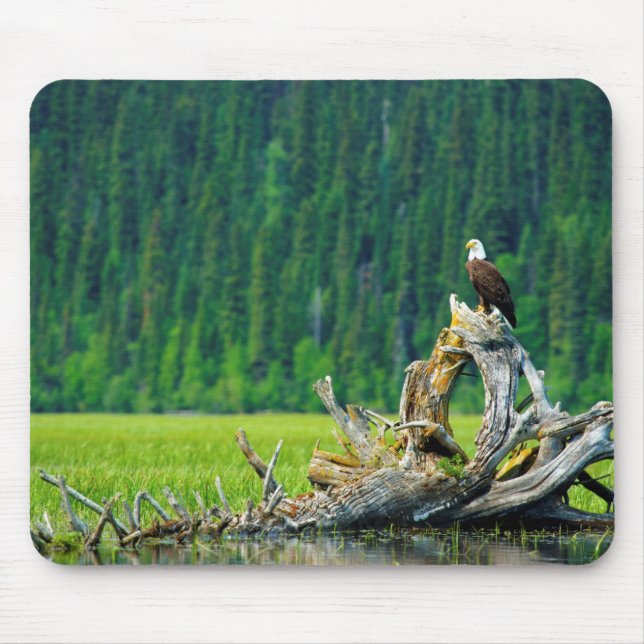 Bald-Adler am Zweig Mousepad (Vorne)