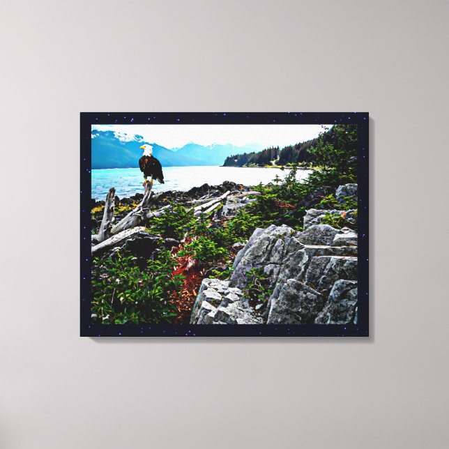 Bald-Adler an der Küste von Alaska Leinwanddruck (Vorderseite)