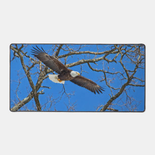 Bald-Adler auf blau Schreibtischunterlage