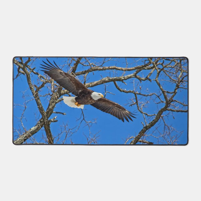 Bald-Adler auf blau Schreibtischunterlage (Vorderseite)