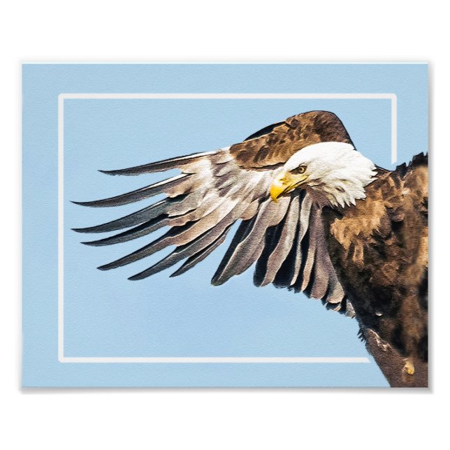 Bald Adler auf dem Flügel Fotodruck (Vorne)