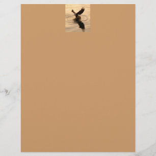 Bald-Adler auf dem Tan-Papier