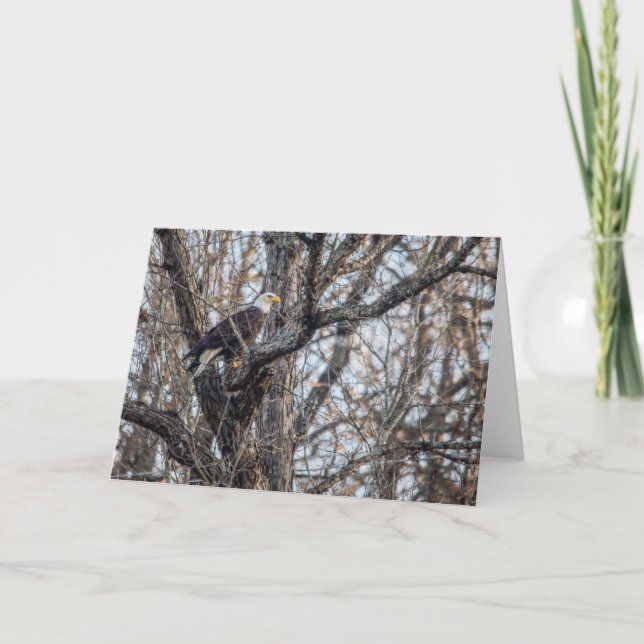 Bald Adler auf der Jagd Karte (Vorderseite)