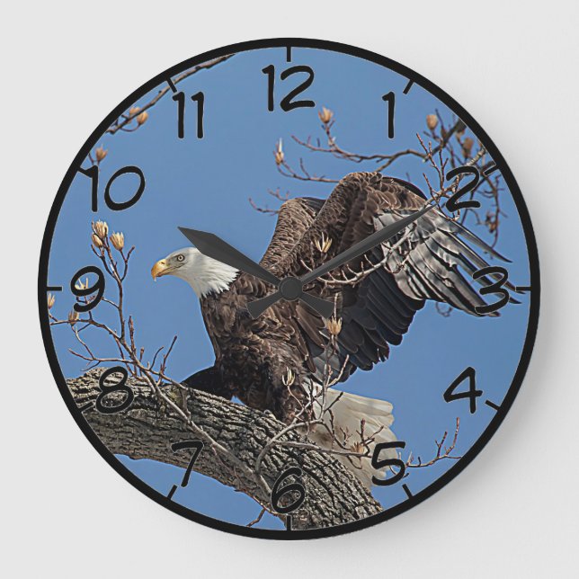 Bald-Adler auf einem Baumzweig Große Wanduhr (Vorderseite)