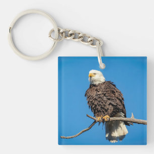 Bald-Adler auf einem Baumzweig Schlüsselanhänger