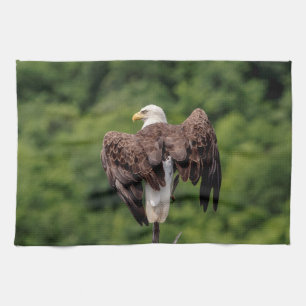 Bald-Adler auf einem Zweig Küchentuch