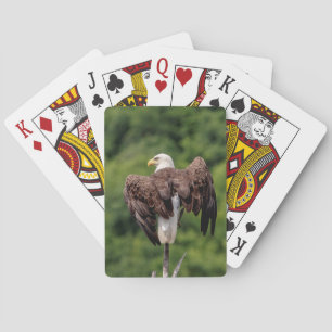 Bald-Adler auf einem Zweig Spielkarten