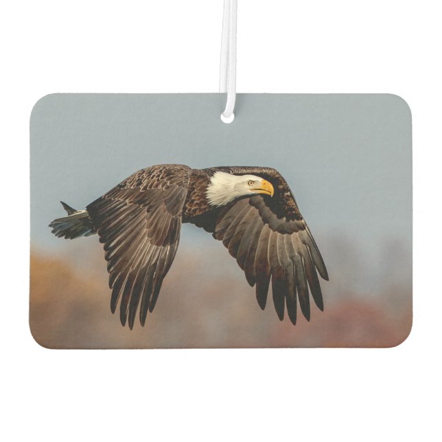Bald-Adler Autolufterfrischer (Rückseite)