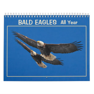 Bald Adler das ganze Jahr Kalender