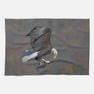 Bald-Adler, der einen Fisch anstarrt Küchentuch