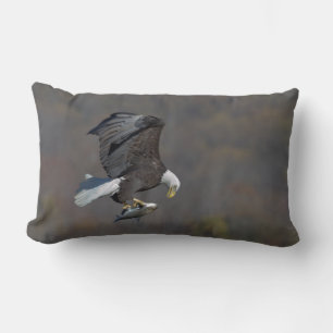 Bald-Adler, der einen Fisch anstarrt Lendenkissen