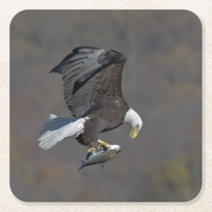 Bald-Adler, der einen Fisch anstarrt Rechteckiger Pappuntersetzer