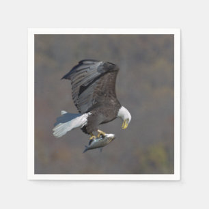 Bald-Adler, der einen Fisch anstarrt Serviette