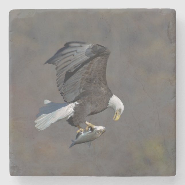 Bald-Adler, der einen Fisch anstarrt Steinuntersetzer (Vorderseite)