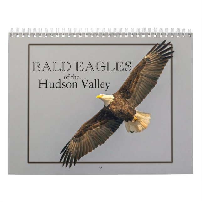 Bald-Adler des Kalenders Hudson Kalender (Titelbild)