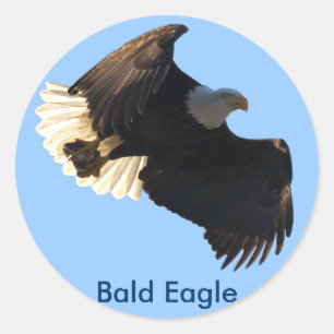 Bald-Adler-Flugabholung II Runder Aufkleber