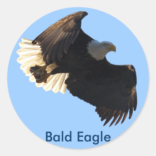 Bald-Adler-Flugabholung II Runder Aufkleber (Vorderseite)