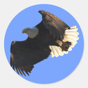 Bald-Adler-Flugabholung II Runder Aufkleber