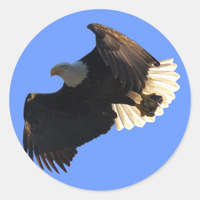 Bald-Adler-Flugabholung II Runder Aufkleber (Vorderseite)