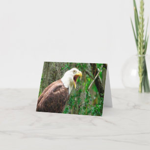 Bald-Adler-Foto Faltkarte