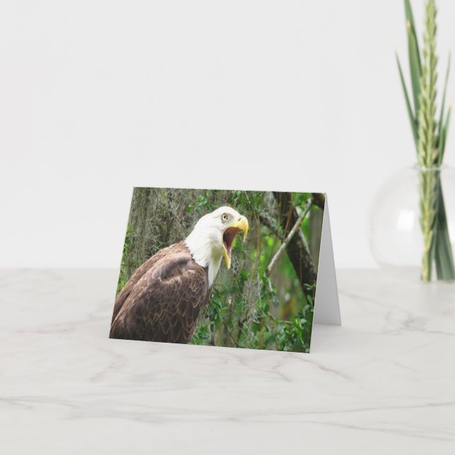 Bald-Adler-Foto Faltkarte (Vorderseite)