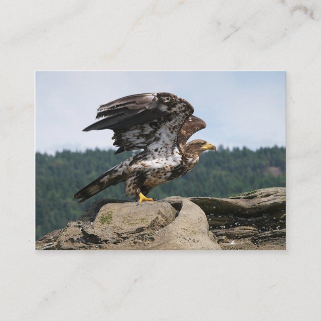 Bald Adler für den Start bereit - Visitenkarten Visitenkarte (Vorderseite)