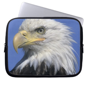 Bald-Adler (Haliäetus leucocephalus), wild, Laptopschutzhülle