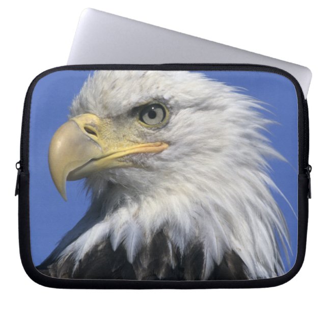 Bald-Adler (Haliäetus leucocephalus), wild, Laptopschutzhülle (Vorderseite)
