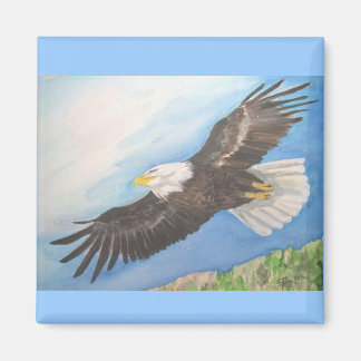 Bald Adler im Flight Magnet
