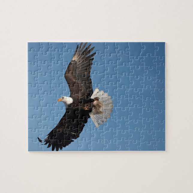 Bald Adler im Flug (Horizontal)