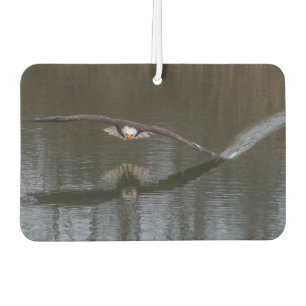 Bald Adler im Flug Autolufterfrischer