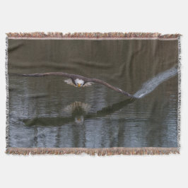 Bald Adler im Flug Decke