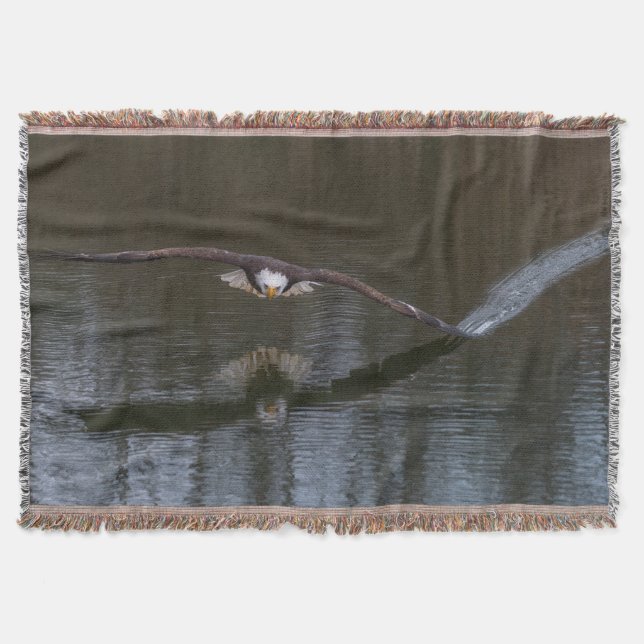 Bald Adler im Flug Decke (Vorderseite)