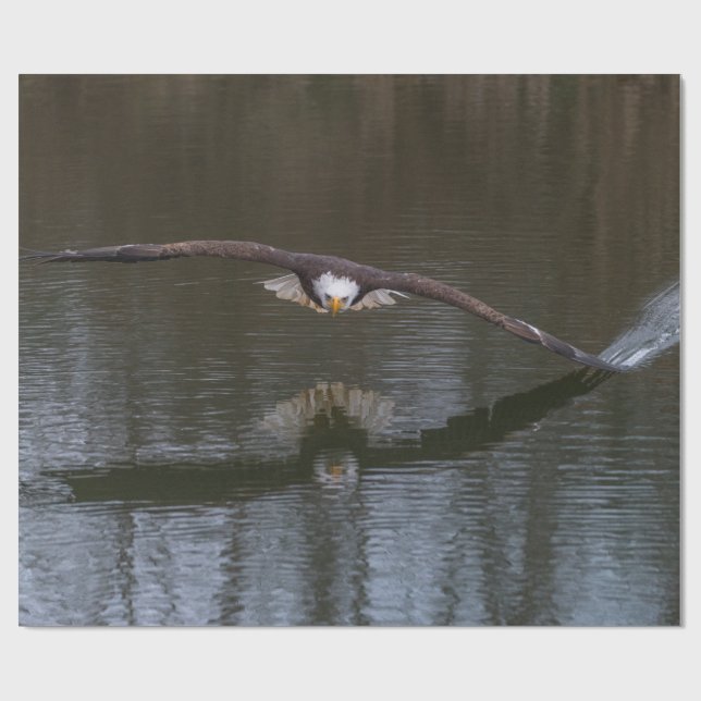 Bald Adler im Flug Geschenkpapier (Flach)
