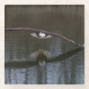 Bald Adler im Flug Glasuntersetzer