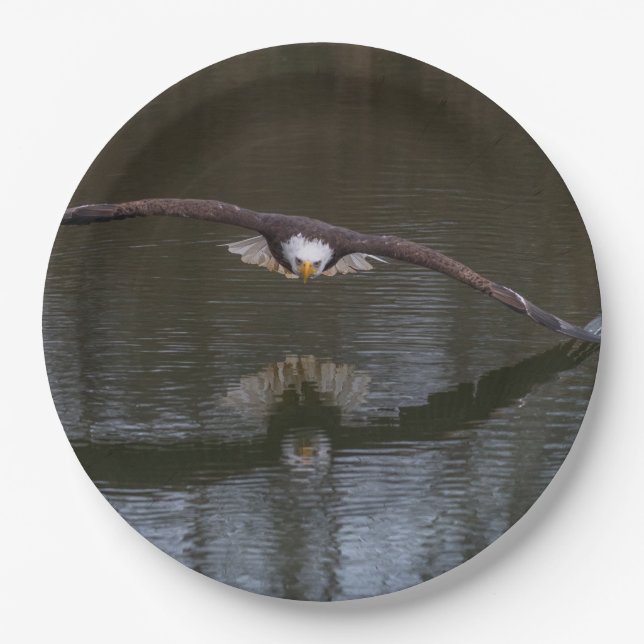 Bald Adler im Flug Pappteller (Vorderseite)