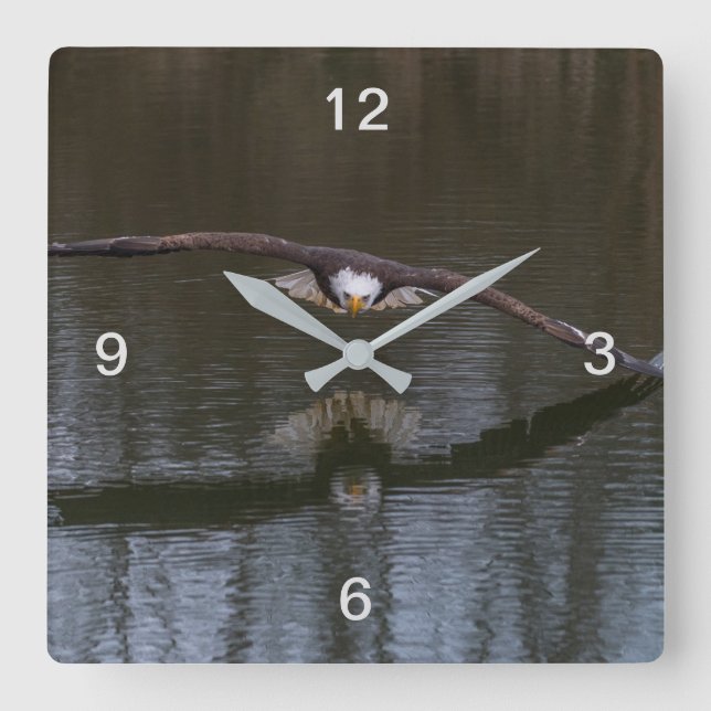 Bald Adler im Flug Quadratische Wanduhr (Vorderseite)