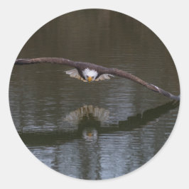 Bald Adler im Flug Runder Aufkleber