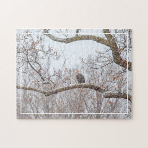 Bald Adler im Schnee