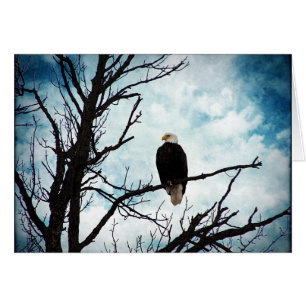 Bald Adler in einem Baum mit blauen Jeden Anlässen