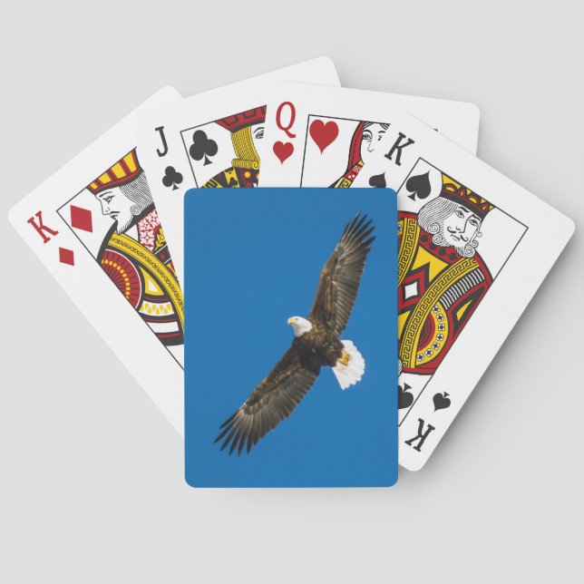 Bald Adler in klarem blauen Himmel Spielkarten (Rückseite)