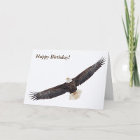Bald-Adler