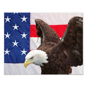 Bald Adler mit amerikanischer Flagge Fotodruck