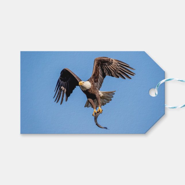 Bald-Adler mit Fisch Geschenkanhänger (Vorderseite (Horizontal))