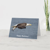Bald-Adler mit Fisch