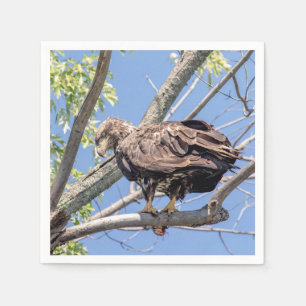 Bald-Adler mit Fisch Serviette