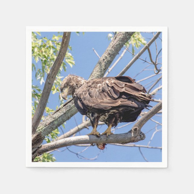 Bald-Adler mit Fisch Serviette (Vorderseite)