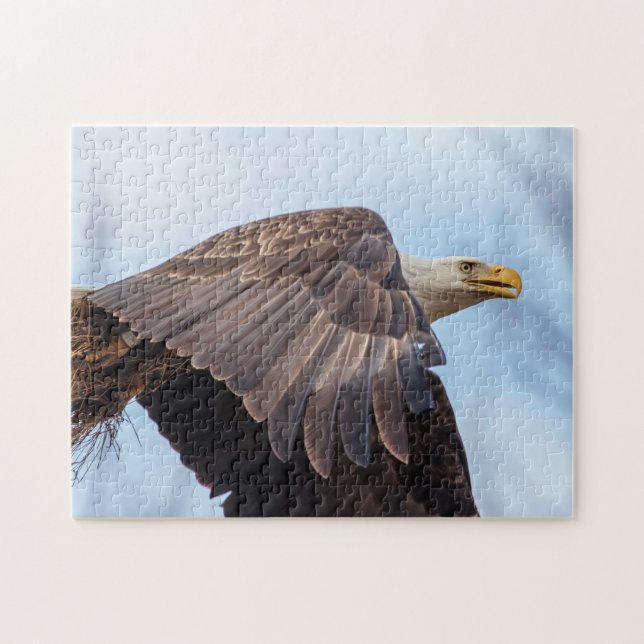 Bald-Adler mit Heu (Horizontal)